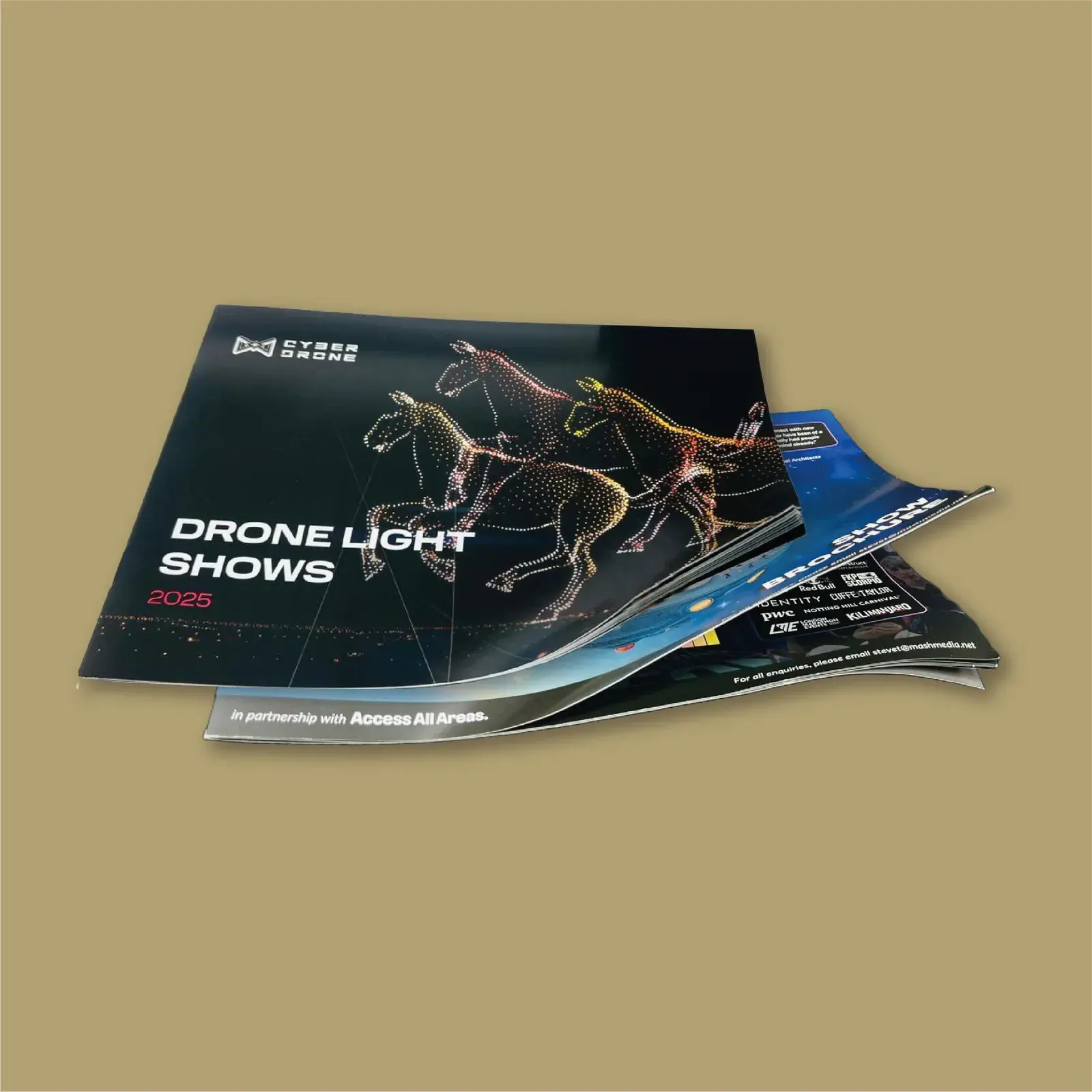 Brochures And Flyers sample 20